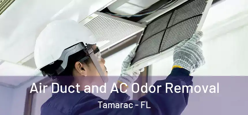 Air Duct and AC Odor Removal Tamarac - FL