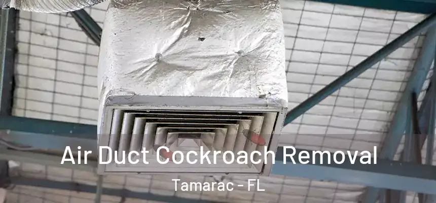 Air Duct Cockroach Removal Tamarac - FL