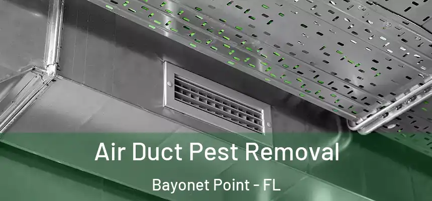 Air Duct Pest Removal Bayonet Point - FL
