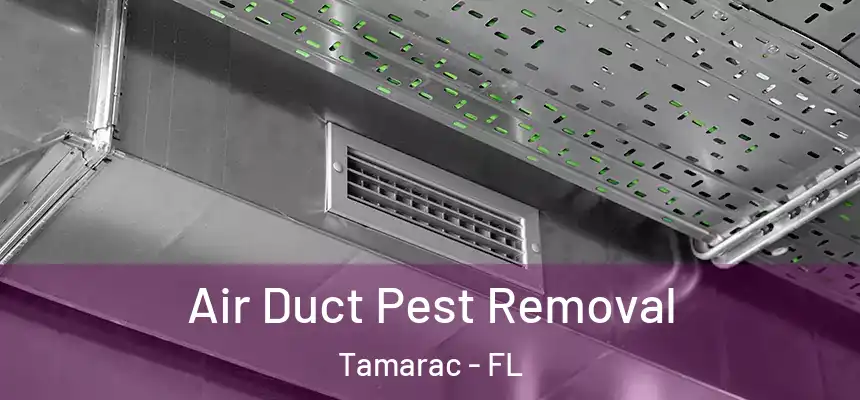 Air Duct Pest Removal Tamarac - FL