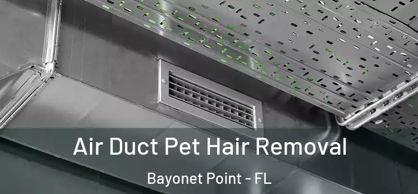 Air Duct Pet Hair Removal Bayonet Point - FL