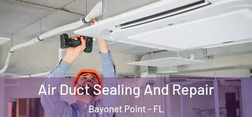 Air Duct Sealing And Repair Bayonet Point - FL