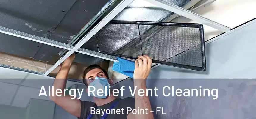 Allergy Relief Vent Cleaning Bayonet Point - FL