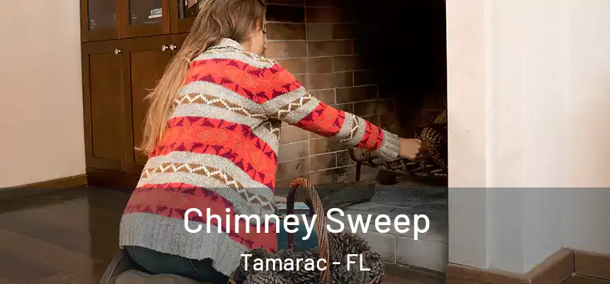 Chimney Sweep Tamarac - FL