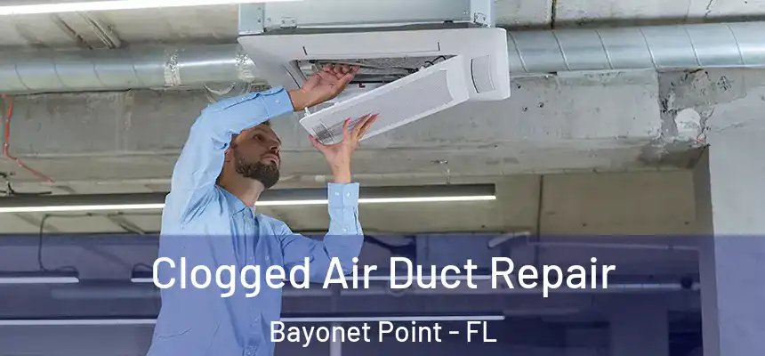 Clogged Air Duct Repair Bayonet Point - FL