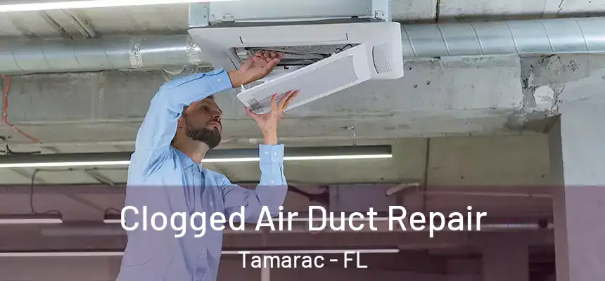 Clogged Air Duct Repair Tamarac - FL