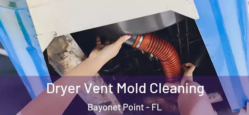 Dryer Vent Mold Cleaning Bayonet Point - FL