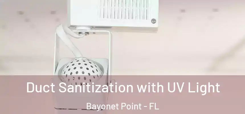  Duct Sanitization with UV Light Bayonet Point - FL