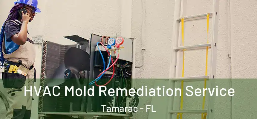  HVAC Mold Remediation Service Tamarac - FL