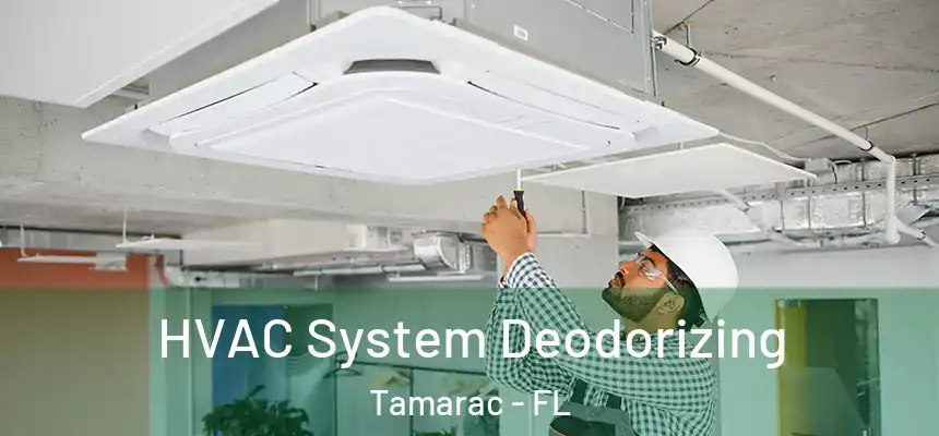 HVAC System Deodorizing Tamarac - FL