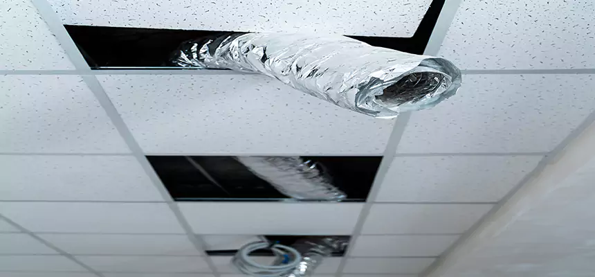 Our Air Duct Pet Hair Removal Services in Tamarac, FL