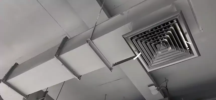 Our Pest Removal From Ducts Services in Tamarac, FL