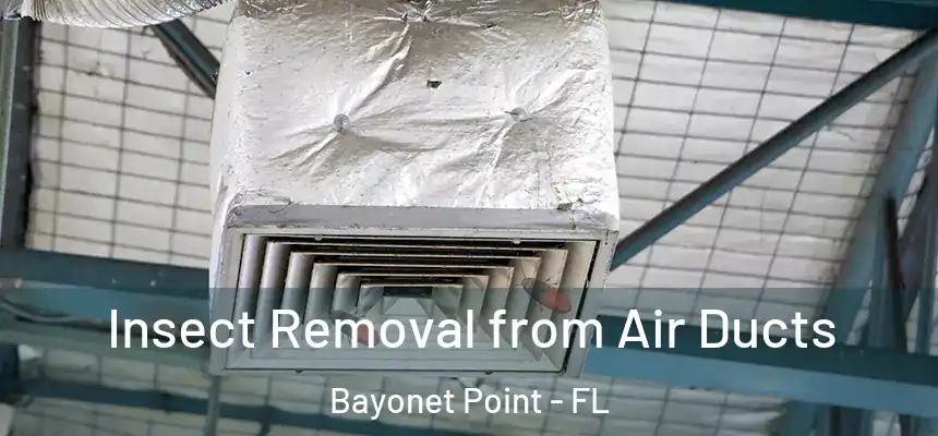 Insect Removal from Air Ducts Bayonet Point - FL