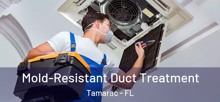 Mold-Resistant Duct Treatment Tamarac - FL