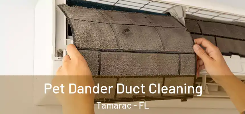 Pet Dander Duct Cleaning Tamarac - FL
