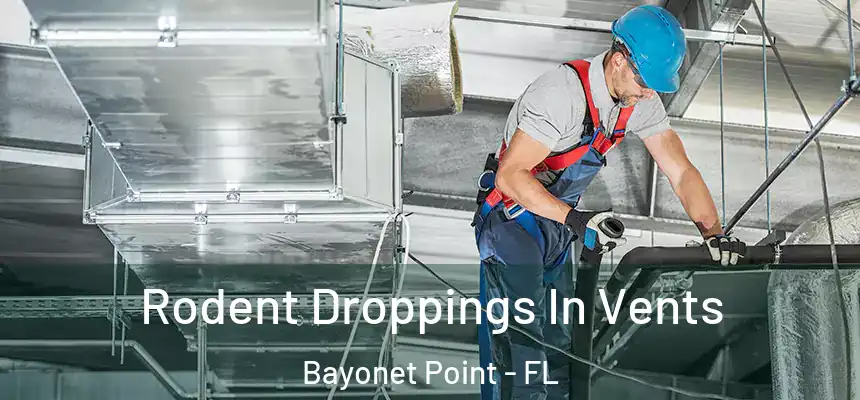Rodent Droppings In Vents Bayonet Point - FL