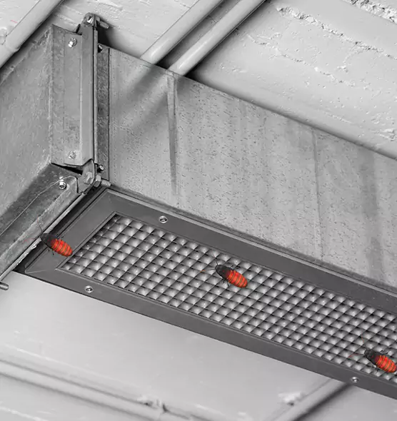 About Air Duct Cockroach Removal in Bayonet Point, FL