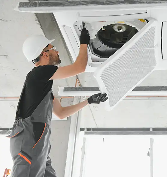 About Air Duct Rodent Removal in Tamarac, FL