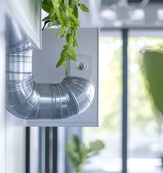 Professional Eco-Safe Dryer Vent Cleaning in Tamarac, FL