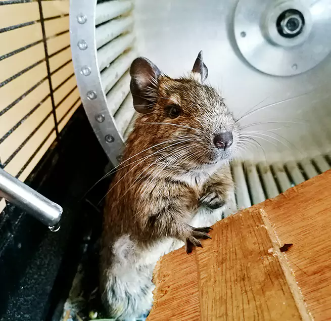 Why Homeowners & Businesses Trust Us Tamarac, FL?