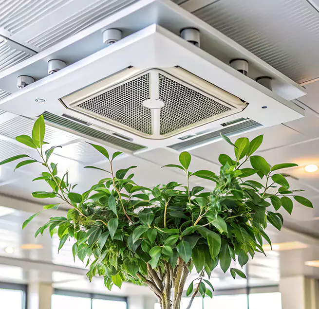 Why Homeowners & Businesses Trust Us in Tamarac, FL