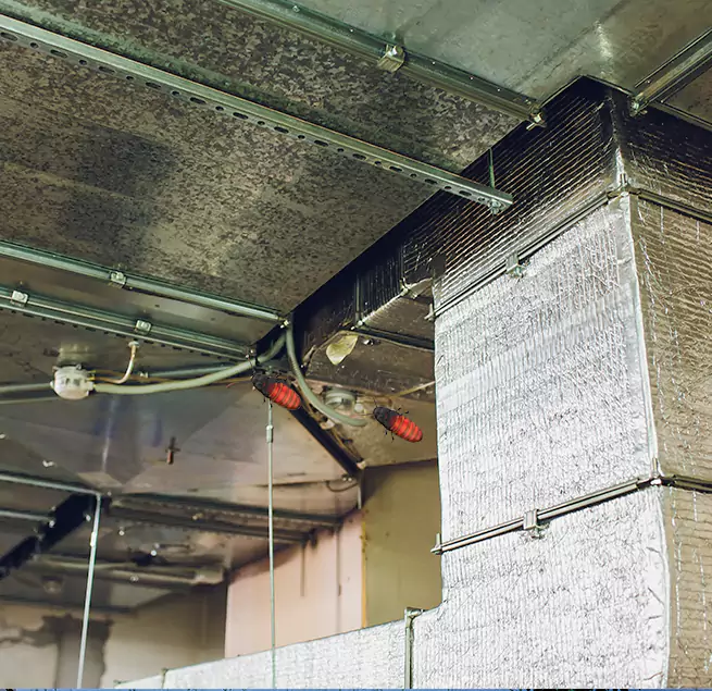 Why Homeowners & Businesses Trust Us Tamarac, FL?