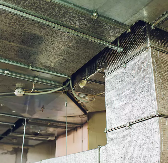 Why Homeowners & Businesses Trust Us in Tamarac, FL?